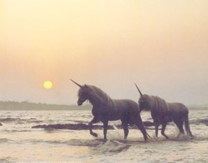 Unicorns on beach